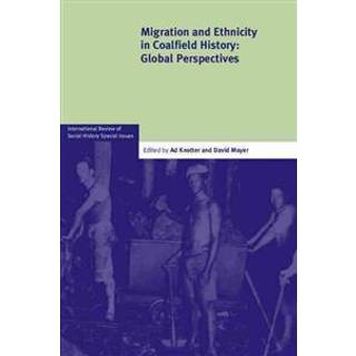 Migration and Ethnicity in Coalfield History