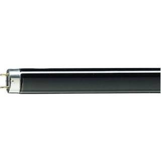 Philips MASTER TL - D 18W - Blacklight Blå | 60cm
