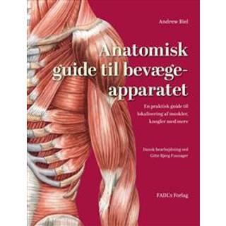 Andrew Biel Anatomisk - guide til bevægeapparatet - En praktisk guide til lokalisering af muskler, knogler med mere