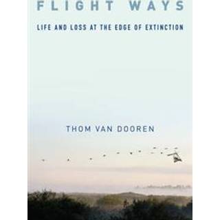 Flight Ways