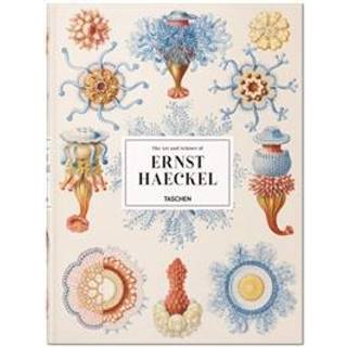 Ernst Haeckel - XXL