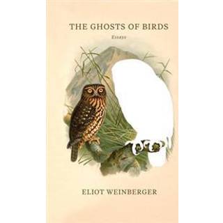 The Ghosts of Birds