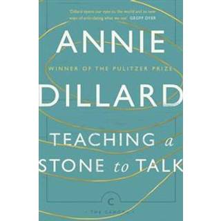 Teaching a Stone to Talk