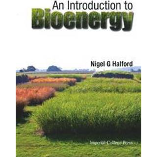 Introduction To Bioenergy, An