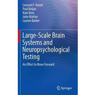 Large-Scale Brain Systems and Neuropsychological Testing
