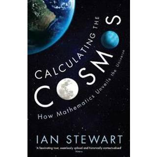 Calculating the Cosmos