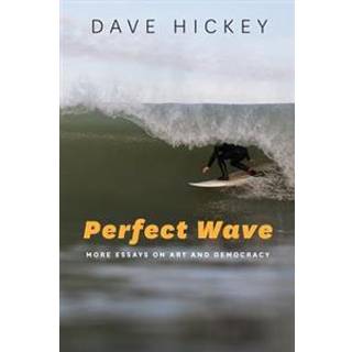 Perfect Wave – More Essays on Art and Democracy