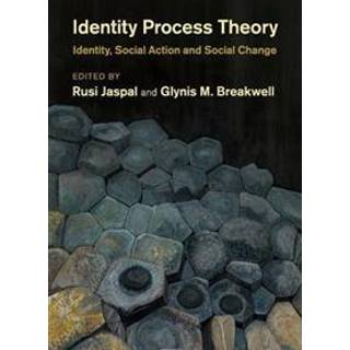 Identity Process Theory