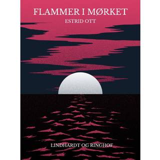 Flammer i mørket