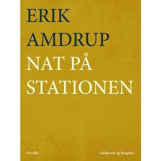 Nat på stationen