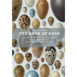The Book of Eggs