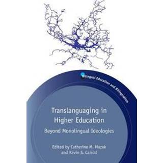 Translanguaging in Higher Education