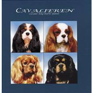 Cavalieren