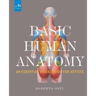 Basic Human Anatomy