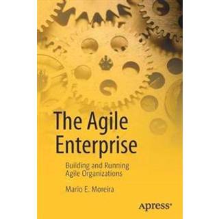 The Agile Enterprise