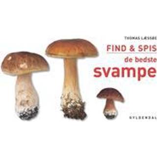 Find & Spis de bedste svampe - Udendørsliv fra