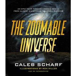The Zoomable Universe