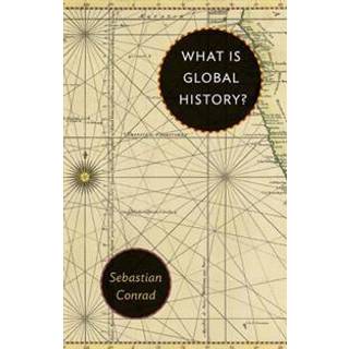 What Is Global History?