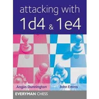 Attacking with 1d4 & 1e4