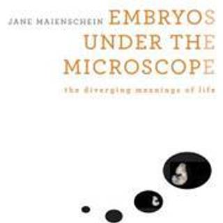 Embryos under the Microscope