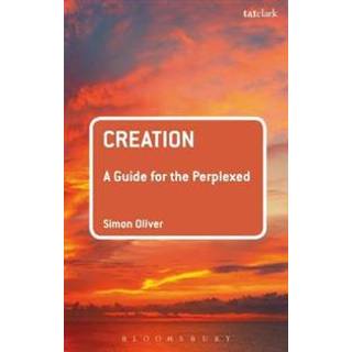 Creation: A Guide for the Perplexed