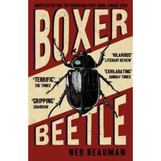 Boxer, Beetle