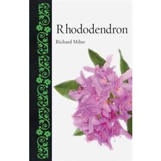 Rhododendron