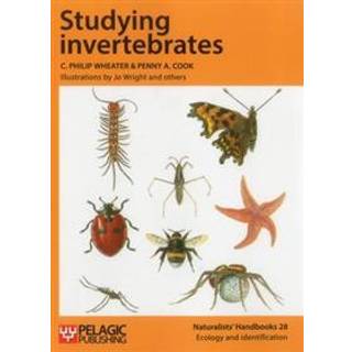 Studying Invertebrates