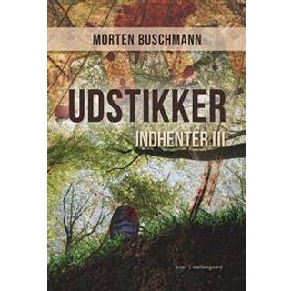 Udstikker
