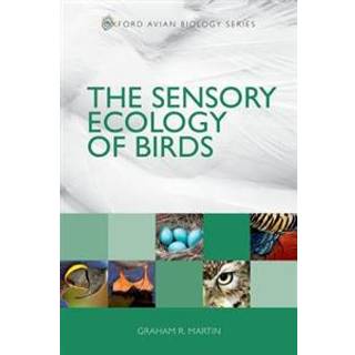 The Sensory Ecology of Birds