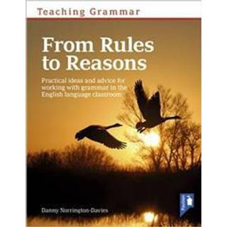 Teaching Grammar from Rules to Reasons