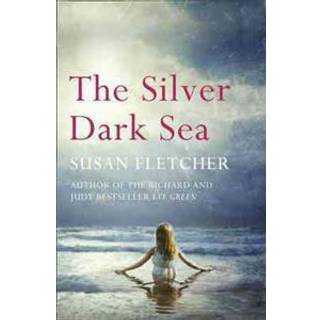 The Silver Dark Sea