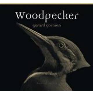 Woodpecker