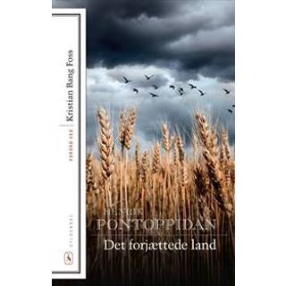 Det forjættede land