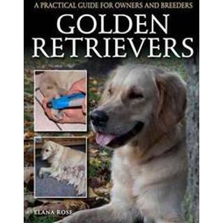 Golden Retrievers