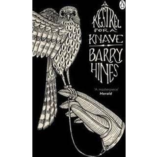 A Kestrel for a Knave