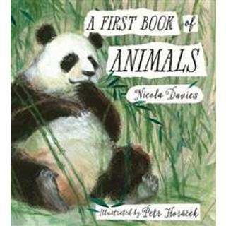 A First Book of Animals