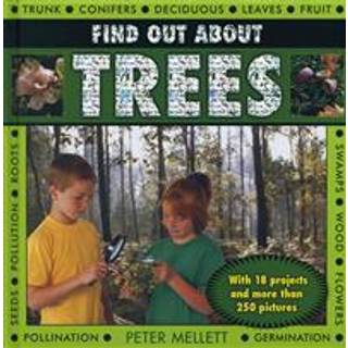 Find Out About Trees