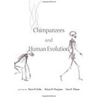 Chimpanzees and Human Evolution
