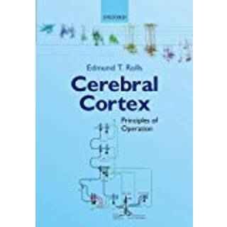 Cerebral Cortex