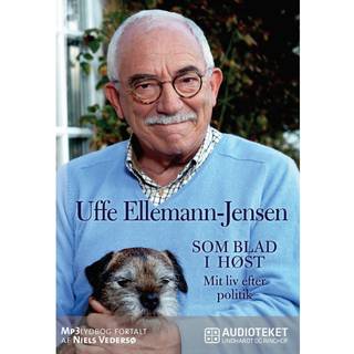 Som blad i høst - Mit liv efter politik