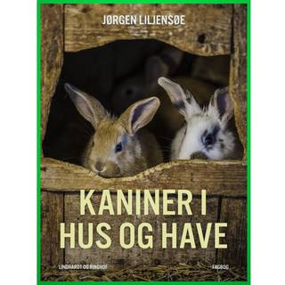 Kaniner i hus og have