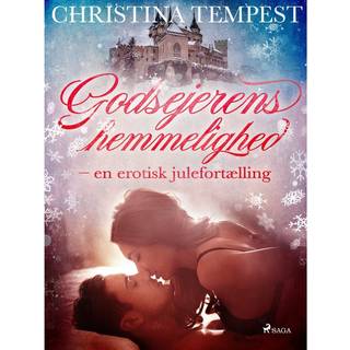 Godsejerens hemmelighed - en erotisk julefortælling