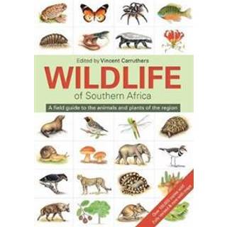 The Wildlife of Southern Africa