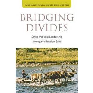Bridging Divides