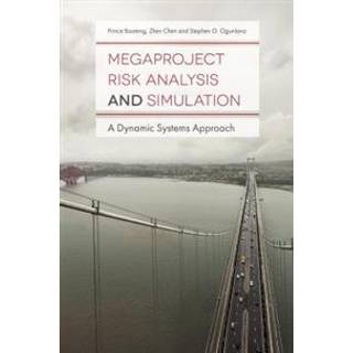 Megaproject Risk Analysis and Simulation