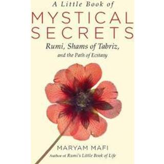 A Little Book of Mystical Secrets