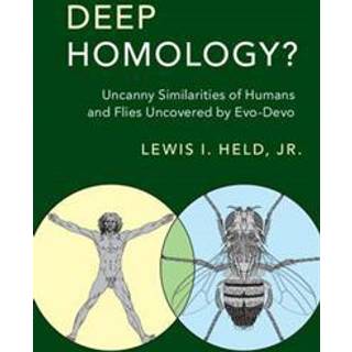 Deep Homology?