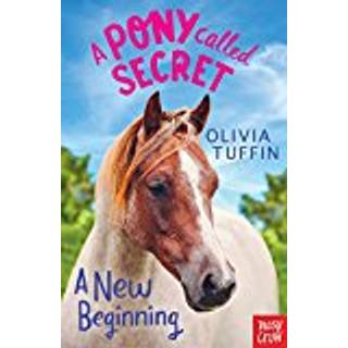 A Pony Called Secret: A New Beginning