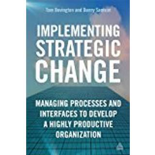 Implementing Strategic Change
